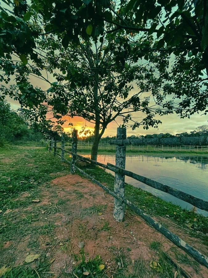 Agastya Lake View Coorg Madikeri Dış mekan fotoğraf