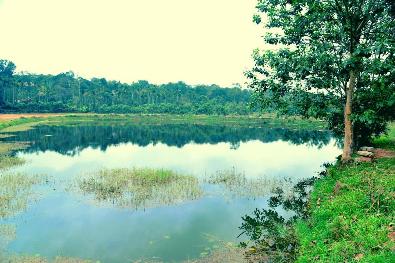 Agastya Lake View Coorg Madikeri Dış mekan fotoğraf